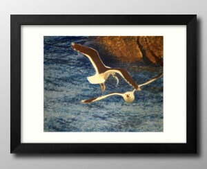 �u���[�m �����G�t�H�b�V�� Lesser Black-backed Gulls Flying A3 �T�C�Y �|�X�^�[ �A�[�g ������� �G�� �C���e���A �k�� �C���X�g �}�b�g�� ������ �A�[�g�p�l�� �z �t���[�� �f�U�C�� �Ǌ|�� �M�t�g 