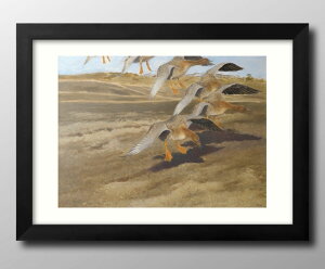 u[m GtHbV Wild Geese A3 TCY |X^[ A[g  G CeA k CXg }bg  A[gpl z t[ fUC Ǌ| Mtg Vzj fBX