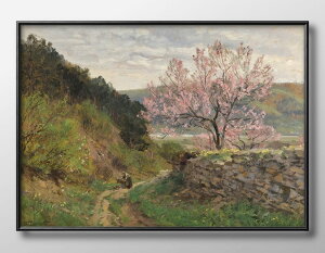 q[S _m[ Spring A3 TCY |X^[ A[g  G CeA k CXg }bg  A[gpl z t[ fUC Ǌ| Mtg Vzj fBXvC B 