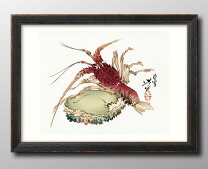 楽天市場】伊勢海老 刺身（アート・美術品・骨董品・民芸品｜ホビー 