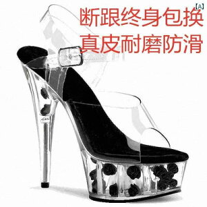 |[_X T_ ~[ fB[X Xe[W ptH[}X Cxg p[eB[ RXv nCq[ 15cm  I[vgD Xgbv h ɂ ϖ  ZNV[