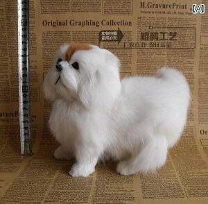 IuWF CeA u I[ig rO [   i A  yLj[Y l` X^fBO   킢 蕨 q a v[g  zCg CG[ u