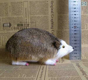 IuWF CeA u I[ig rO [   i A nlY~  W{  Fm  킢 蕨  q a v[g   O[