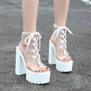 |[_X ߑ nCq[ Xgbv ҂ݏグ V[gu[c Lo T_  I[vgD `L[ [XAbv  14cm  Xe[W ptH[}X Cxg p[e