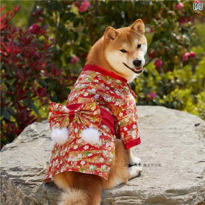    a 킢 ʐ^Be ybg ԕ g sN  L R[M[ Č