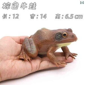 K[fI[ig u q j̎q ̎q ~j`A G  CeA z[fR[V Aj}IuWF     JG  