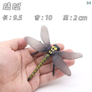 K[fI[ig u q j̎q ̎q ~j`A G  CeA z[fR[V  IuWF     A g{