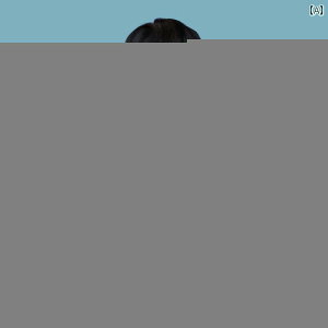 Lw  xg p l Y bV T|[^[ Ci[ PA  ␳ w   b ܂ 傫߃TCY  