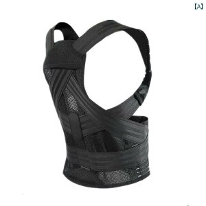 Lw  xg p l Y fB[X T|[^[ Ci[ PA  ␳ w   b ܂ 傫߃TCY