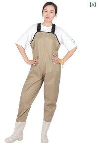 EF[_[ ނ fB[X l C  Cu[c Cpc I[o[I[ Y fB[X Sg h Vv J[L iC