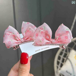 wAANZT[ { q  ̎q   wANbv s ANZT[ 킢   ܎O a Mtg sN  