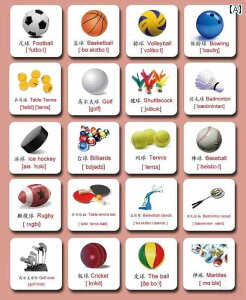 mߋ tbV J[h p  wK  ׋ c q X|[c {[Z  g  Fm P  `bN 􂦂  CXg