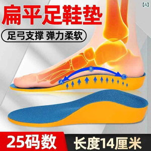 Ε  C\[ LbY Ci[ tbgpbh A[` T|[g O fB[X e͐ U^q[Jbv ɂ 萫