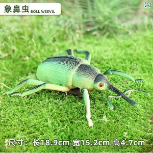 A   tBMA hbL q l  ͌^ a  w Ă񂤒 ob^ g{ Ȋw  ώ@  m Zbg j̎q v[g