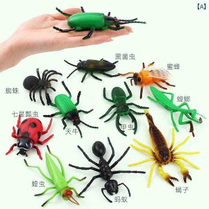 ���A�� �� �������� �q�� �L�b�Y ���� ঒��� ������ �͌^ �ߋ� �t�B�M���A �R���N�V���� �f�B�X�v���C ���� �w�r �w� �g�J�Q �_�炩�� ������ �ǂ����� �T�v���C�Y �F�� ���� �c������