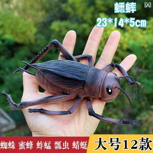  tBMA  ͌^ q RNV `bN   N RIM I Ă񂤒 A a A