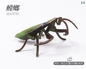   V  A  tFCN   গ tBMA ͌^ ob^ Jf  I RIM N g{ J}L T\  ߋ