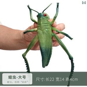  tBMA  ͌^ q RNV  Ȋw  Mtg ob^ tRKV T\ A