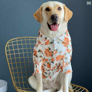  ĕ  ybg ԕ o IW Vc VL[ Ăh~ S[fgo[ uh[    {^