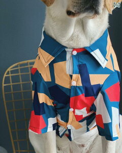  ĕ  ybg  XNGA`FbN Vc  Ăh~ S[fgo[ uh[  {^   Jt