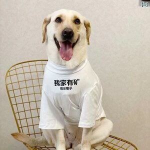  ĕ 傫߃TCY ₢  ybgi TVc ʋC K  hbO EFA uh[ S[fgo[  zCg S Vv