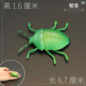   A q  ߋ m  w ct nEB tBMA TvCY a v[g JV 