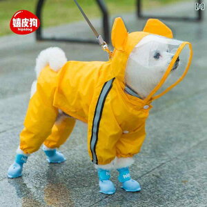  CR[g ^ ^ Jbp J hbOEFA ybg  h |` J̓ CG[ bh O[