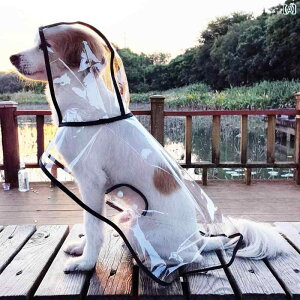  CR[g ^ ^  Jbp J hbO ybg  t[h |` U h ubN CG[ zCg