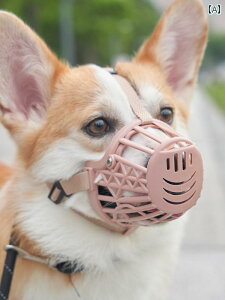   ʖi ݂ EH h~ }Y  ybgi R[M[ ^ ^ x[W