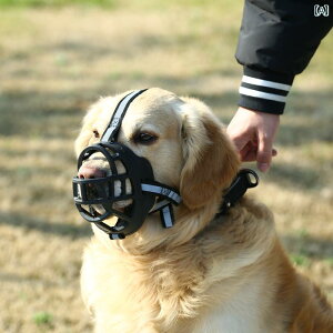   ʖi ݂ EH h~ }Y  ybgi }EX }XN ^  S[fgo[ R[M[ ubN