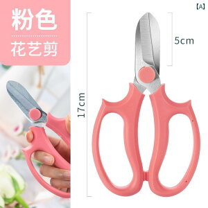 ΂ K[fjO |  nT~ }؂ t[AWg ԉ ƒ c[ H sN u[ p[v