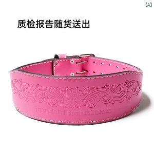 p[xg U[ teBO EFCg g[jO tBbglX ؃g  ̊ W Y fB[X {fB[r v XNbg dʋ X|[c ی bh ubN