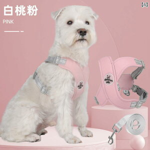  [h `F[ ʋC xXg n[lX  R[M[ ^ ^ U sN CG[ u[