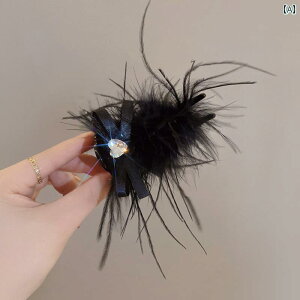 wANbv wAANZT[ fB[X t@[ tFU[ s ubN