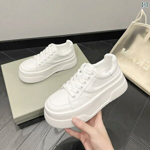 Xj[J[ fB[X  V[Y v H~ N X|[c _bh zCg