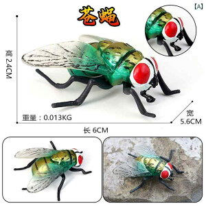  tBMA  ͌^ q RNV   Mtg nG I T\ Jf A A