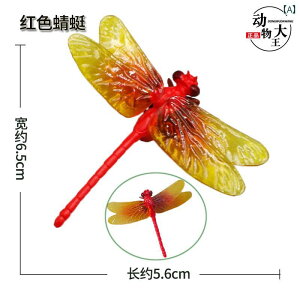  tBMA  ͌^ q RNV Mtg `bN    I A