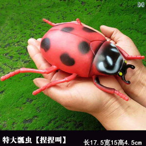  tBMA  ͌^ q RNV 傫 \tg  N Ă񂤒 I ob^ A