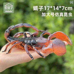  tBMA  ͌^ q RNV   `bN Ă񂤒 N T\ A