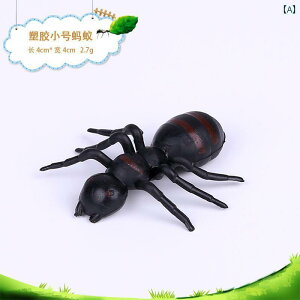   tFCN A tBMA TCY A `bN ~j V[   r 傫  A f er 