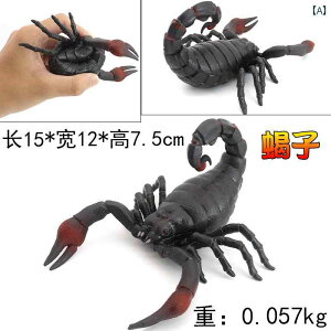  tBMA  ͌^ q RNV \tg VR  Mtg T\ N }EX Jf