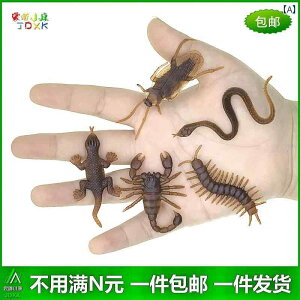  tBMA  ͌^ q RNV T\ SLu    `bN A