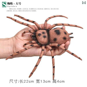  tBMA  ͌^ q RNV  Ȋw  Mtg j̎q N w A