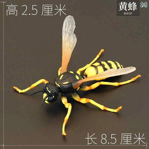  tBMA  ͌^ q RNV j̎q ̎q  XYo` n` I Mtg A