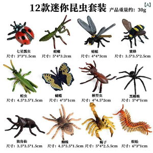  tBMA  ͌^ q RNV  ~j  I N J}L T\ Jf g{ A