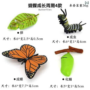  tBMA  ͌^ q RNV   j̎q ̎q  Ă񂤒 J Mtg A