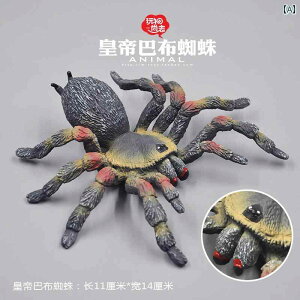  tBMA  ͌^ q RNV `bN   J}L JugV N gJQ Mtg A