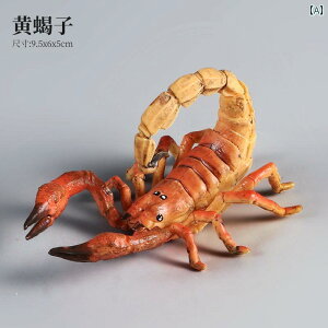  tBMA  ͌^ q RNV `bN ߑ j̎q ̎q  T\ A