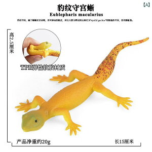 ���� �t�B�M���A �������� �͌^ �q�� �R���N�V���� ������ ঒��� �g�J�Q �w�r ���A��