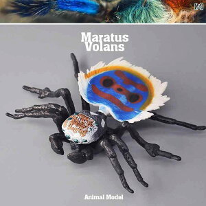  tBMA  ͌^ q RNV j̎q ̎q  JugV  T\ N A